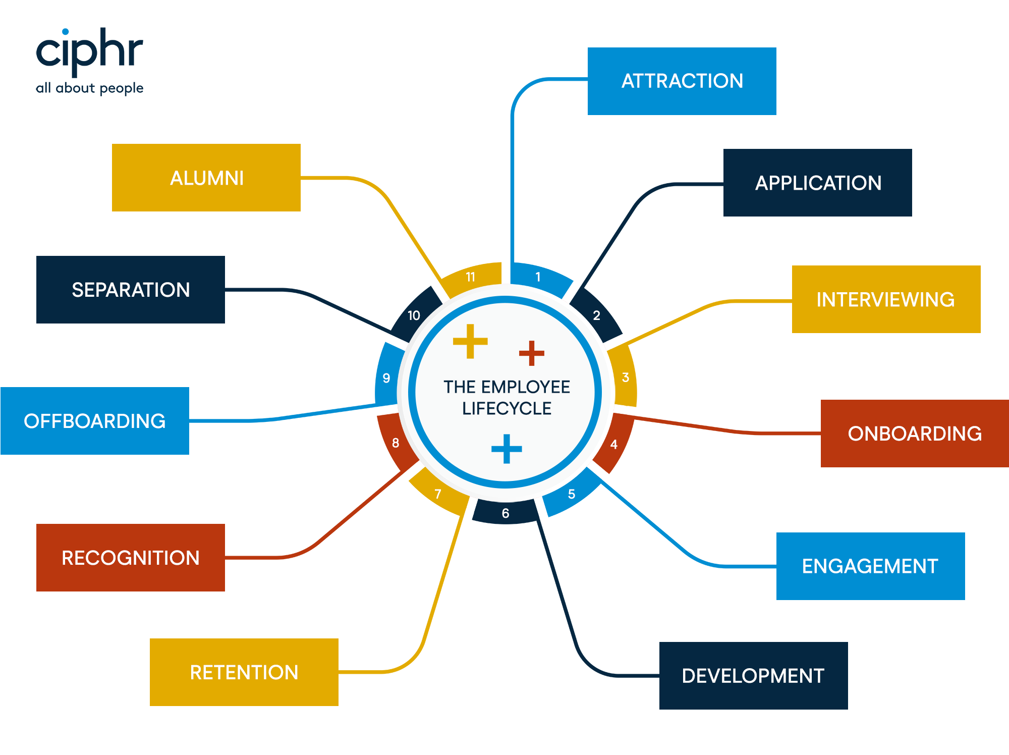 The employee lifecycle: what is it, and what's technology's role ...